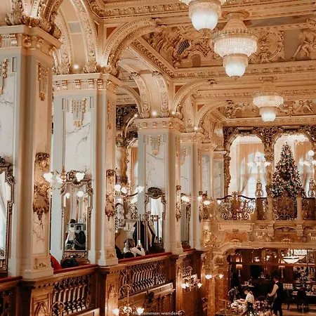 Magnificent Elegance By Erzsebet Krt & New York Cafe
